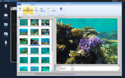 DiskDigger running in Ubuntu